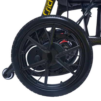 Golden Cricket LT Carbon GP309
