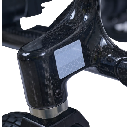 Golden Cricket LT Carbon GP309