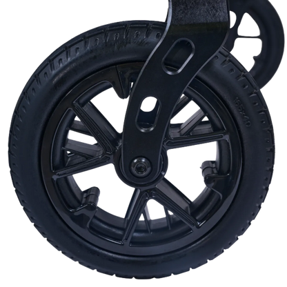 Golden Cricket LT Carbon GP309