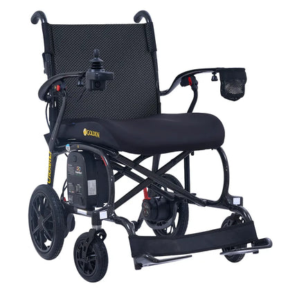 Golden Cricket LT Carbon GP309